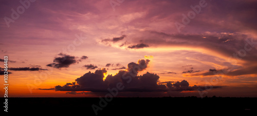 Amazing sunset and sunrise.Panorama silhouette tree in africa with sunset. Dark tree on open field dramatic sunrise.Safari theme.Giraffes , Lion , Rhino photo