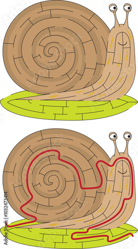 Easy snail maze for kids with a solution