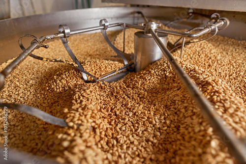 Processing and roasting of peanuts on an industrial scale. Industrial food production.