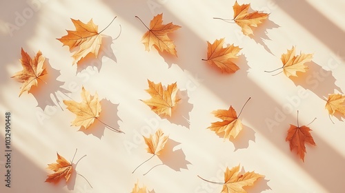 Arrangement of autumn leaves on a light background.