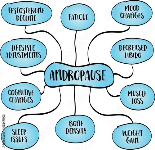 andropause, male menopause, phase in men’s lives where testosterone levels gradually decline, mind map infographics sketch