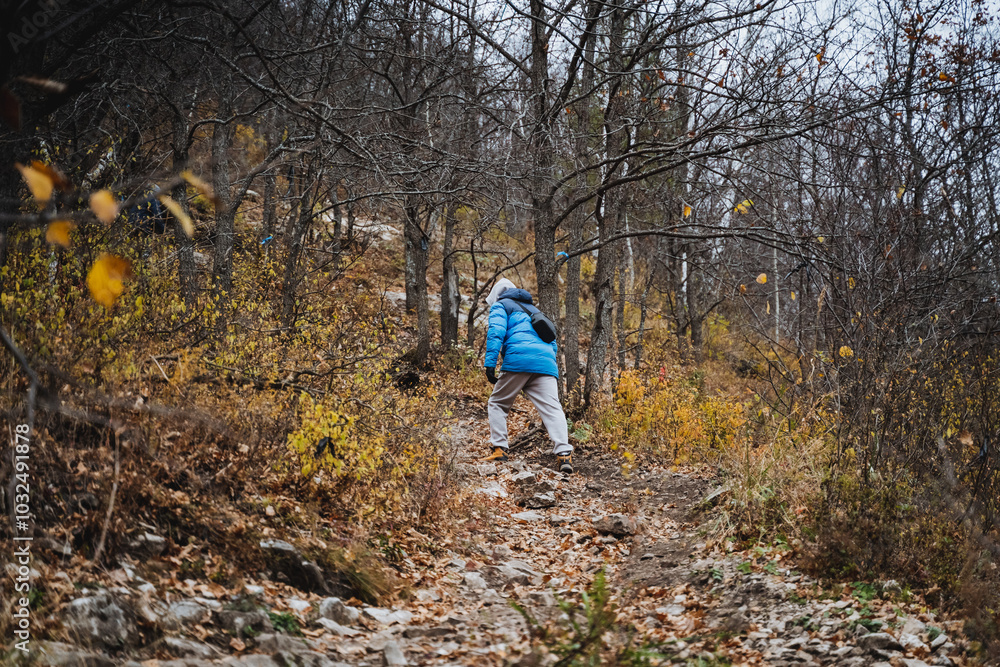 A solitary individual dressed in a bright blue jacket is leisurely walking along a winding path that meanders through a serene and picturesque wooded area filled with lush greenery and trees A solitary individual dressed in a bright blue jacket is leisurely walking along a winding path that meanders through a serene and picturesque wooded area filled with lush greenery and trees