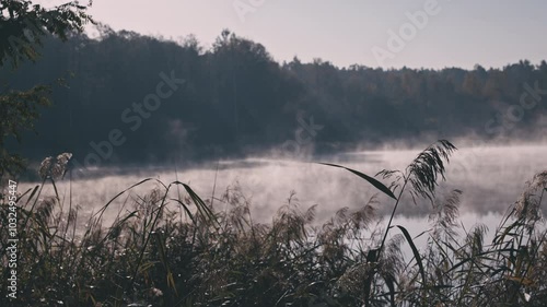 Early morning fog floating over calm lake. Dreamy mist on water surface.