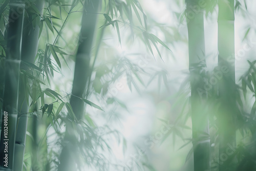 Dreamy soft focus photo of serene Japanese bamboo forest, capturing tranquil essence of nature. gentle hues and blurred details evoke peaceful atmosphere