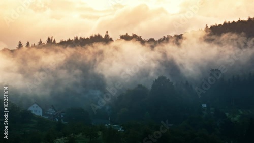 schwarzwald