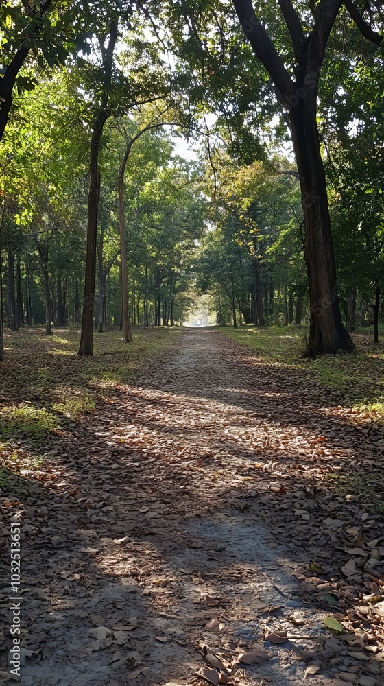 A path winds through a forest, dappled sunlight filtering through the trees. The path is lined with fallen leaves, creating a warm, autumnal atmosphere. A path winds through a forest, dappled sunlight filtering through the trees. The path is lined with fallen leaves, creating a warm, autumnal atmosphere.