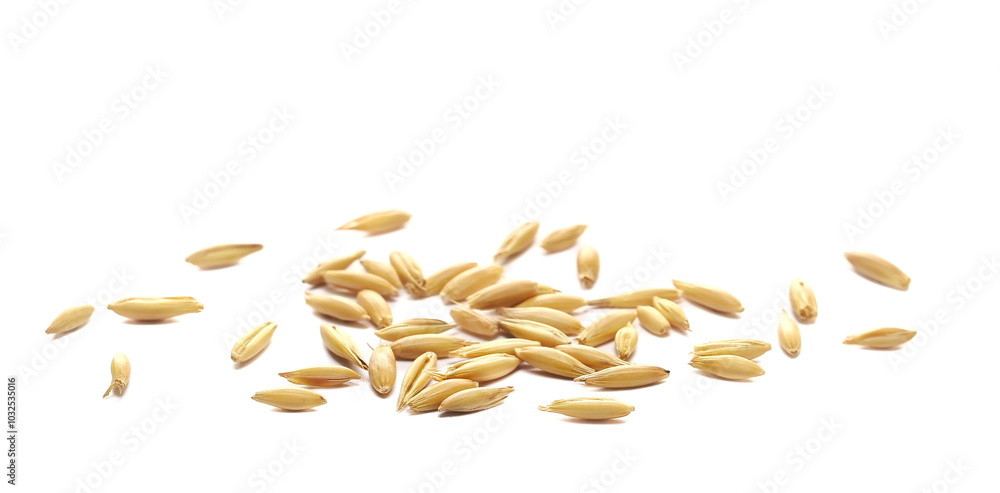 Pile unpeeled oat grains isolated on white, side view Pile unpeeled oat grains isolated on white, side view