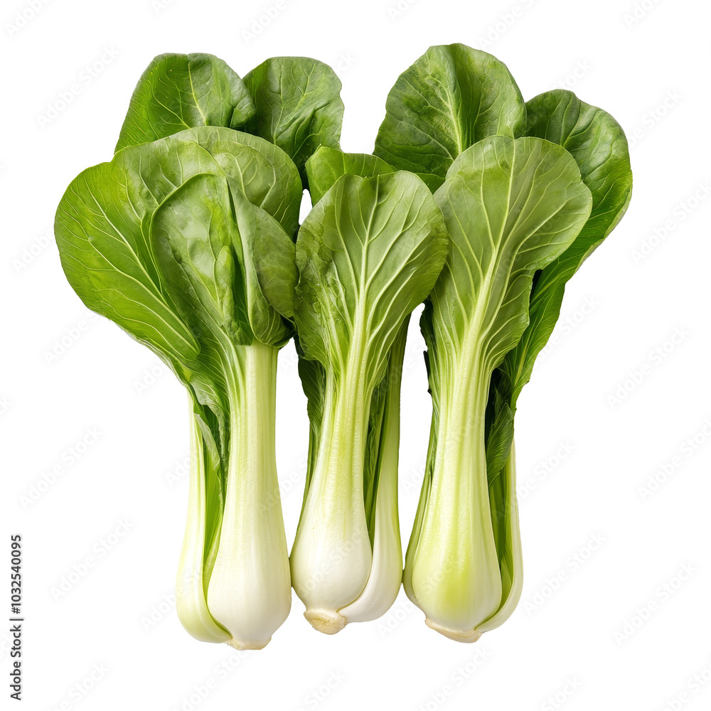 Fresh organic bok choy arranged elegantly on a transparent background, showcasing vibrant greens for healthy cooking ideas, Organic bok choy on transparent background