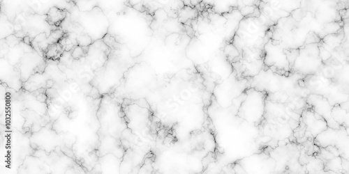 Vector abstract white Carrara marble stone ceramic wall interiors slab, kitchen, tiles grunge rock backdrop design texture. exterior luxury stone pattern of bright floor, wall tiles background.