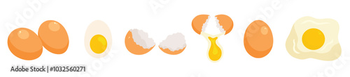 Eggs set. Raw, boiled, whole, peeled and broken eggs. Scrambled eggs, omelette, yolks, eggshell isolated on white background. Flat Vector illustration