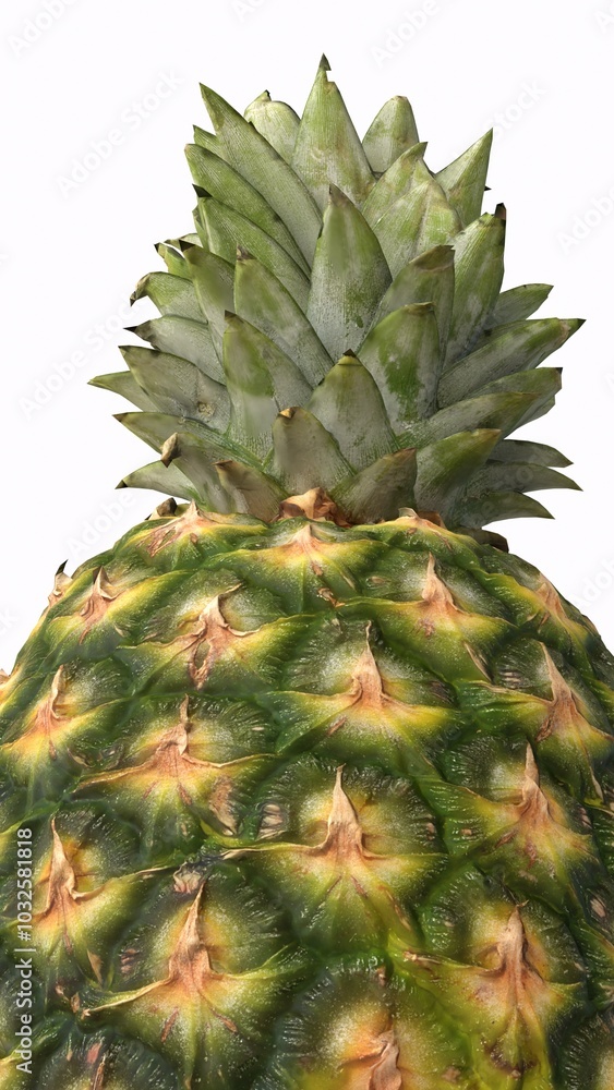 pineapple with white background pineapple with white background
