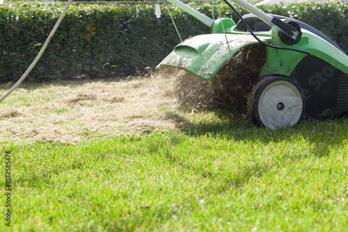 Scarifying machine. Scarification of the lawn. photo