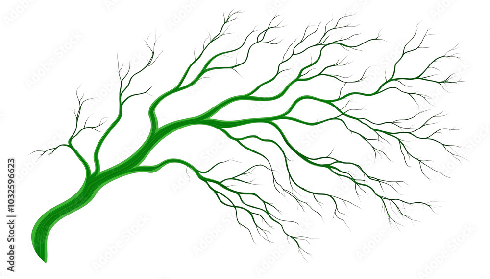 A vibrant green tree branch with intricate patterns and delicate leaves, ideal for nature-themed projects and designs. A vibrant green tree branch with intricate patterns and delicate leaves, ideal for nature-themed projects and designs.