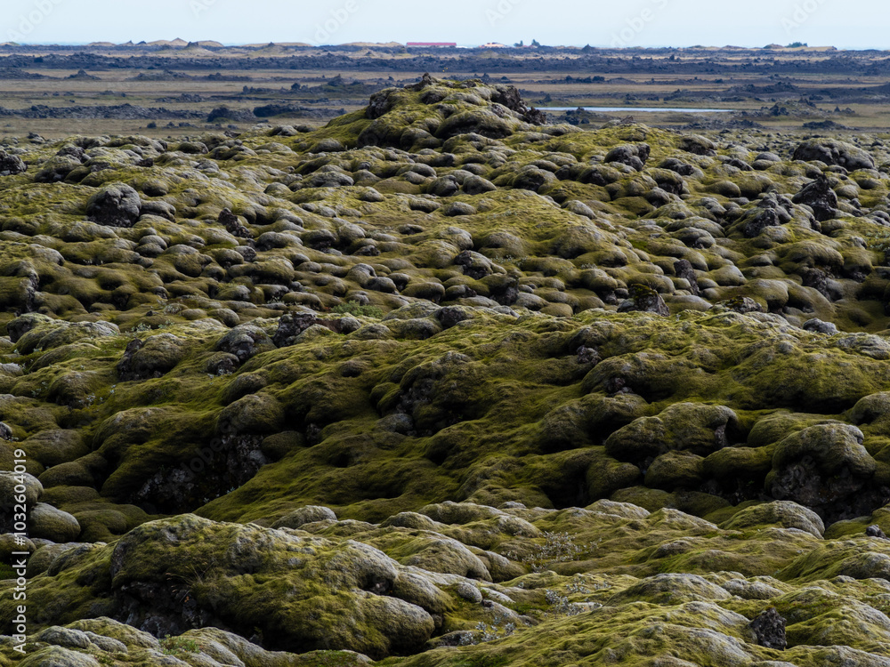 Moss covered rock formations at Laufskálavarða, Iceland Moss covered rock formations at Laufskálavarða, Iceland