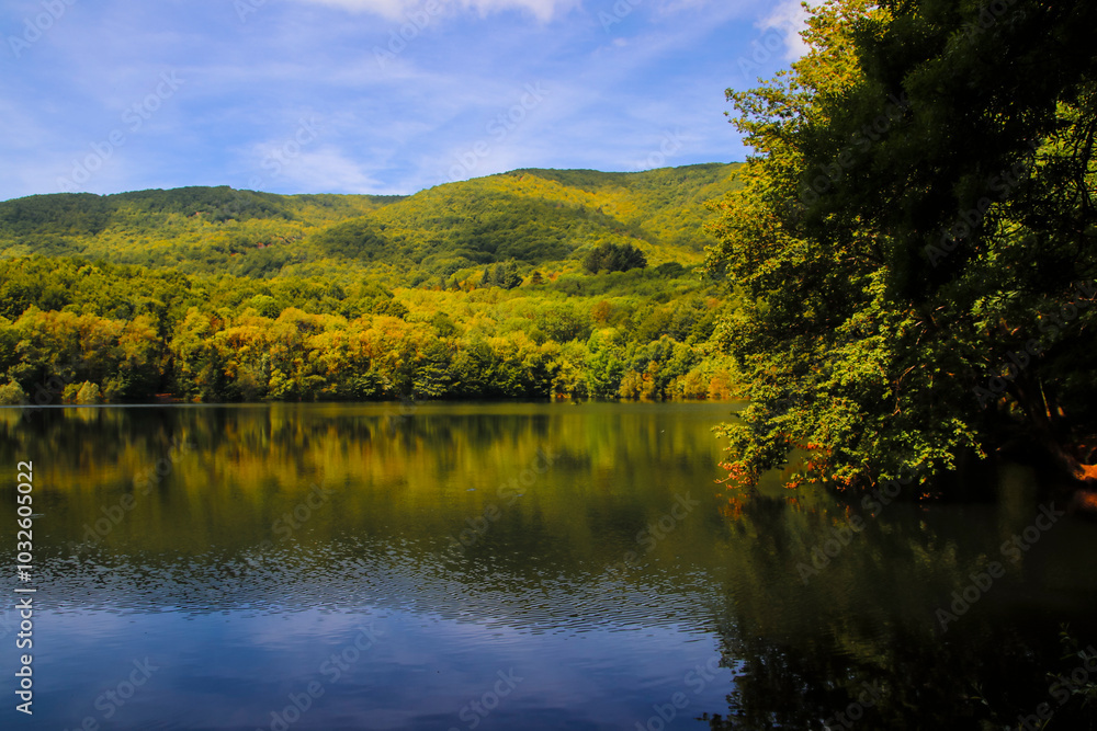 Un bosque se refleja en un lago en otoño Un bosque se refleja en un lago en otoño