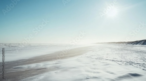 A serene winter beach at midday with clear skies and pristine white sands stretching into the distance