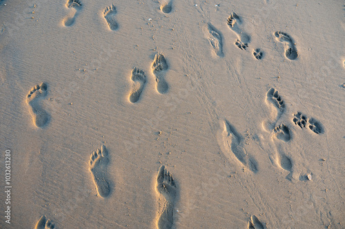 Footprints in the sand by the sea, in the evening light photo