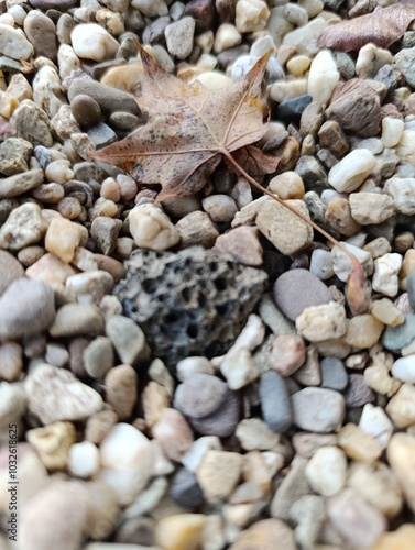 pebbles on the beach