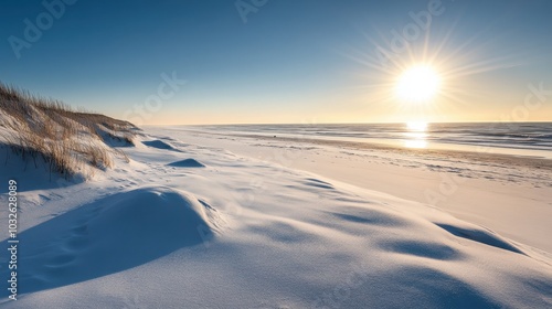 Winter morning on a tranquil beach with clear skies and soft dunes under the sun