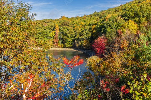 Brightly colored plants and trees surround Quabbin Reservoir