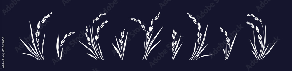 Fototapeta premium Rice plant, grains set. Farm organic food Bio milk