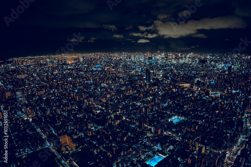 Wallpaper Mural Tokyo skyline globe city Torontodigital.ca