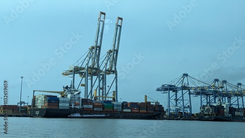 cranes in harbor