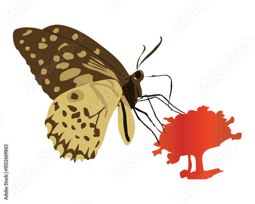 Butterfly Vector Eps Free Download 