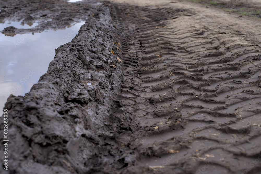 Truck tread prints on wet ground