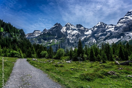 Malerisches Bergbild mit blauem Himmel und dünnen Wolken. Davor ein grüner Wald. 