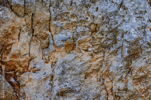 Natural rock texture showcasing weathered geological features in a rugged outdoor setting during daylight hours