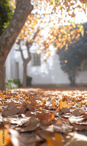 Golden autumn leaves blanket the ground under a bright sunlight in a serene p...