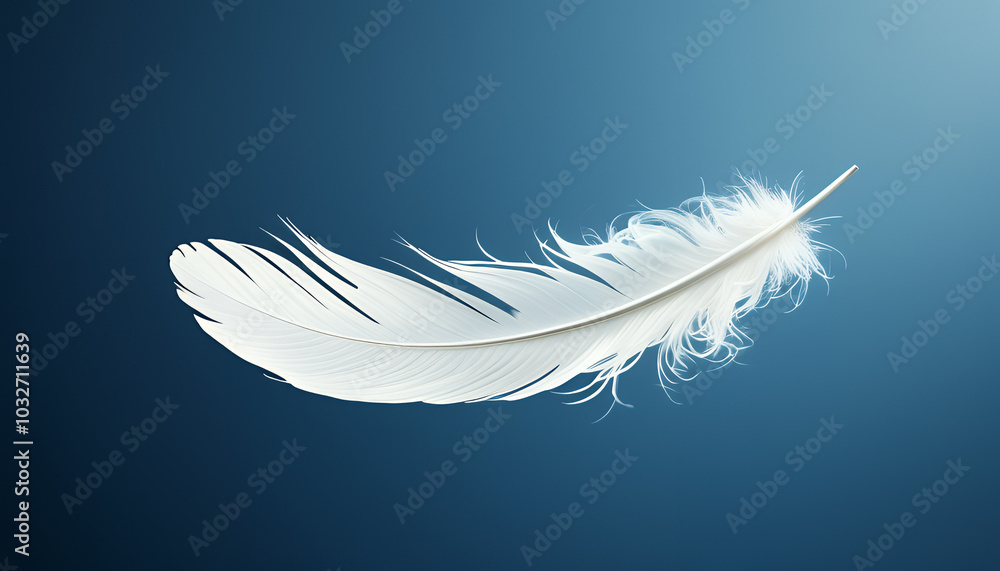 Obraz premium white feather on blue background