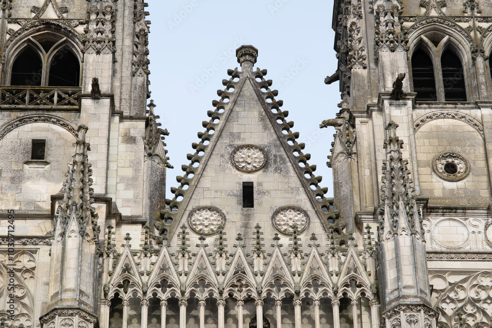 Fototapeta premium Gothic ornaments. Shot on several Gothic monuments in France. (Churchs and buildings)