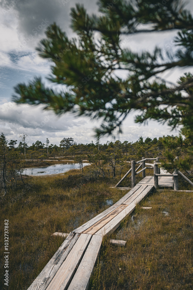 Wooden path passing through the Baltic swamp around small ponds
Wooden path passing through the Baltic swamp around small ponds