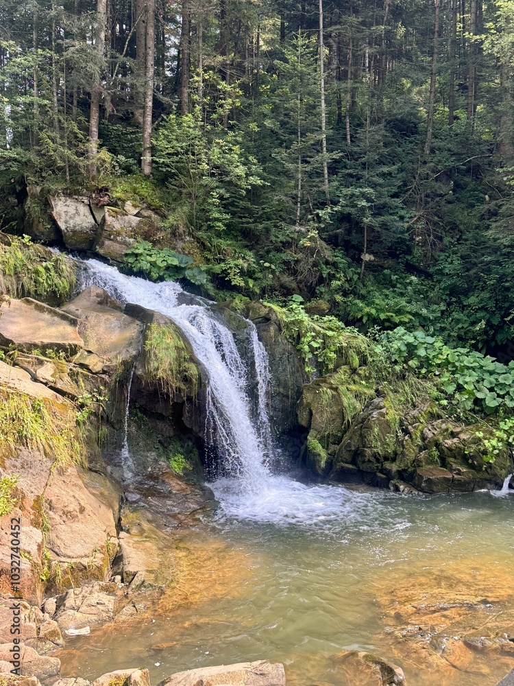 Obraz premium Tustan is a breathtaking historical fortress nestled in the mountains, showcasing stunning stone formations. Nearby, the Kamyanka waterfall cascades beautifully, creating a picturesque landscape that 