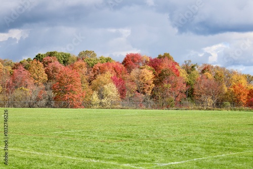 autumn in the park