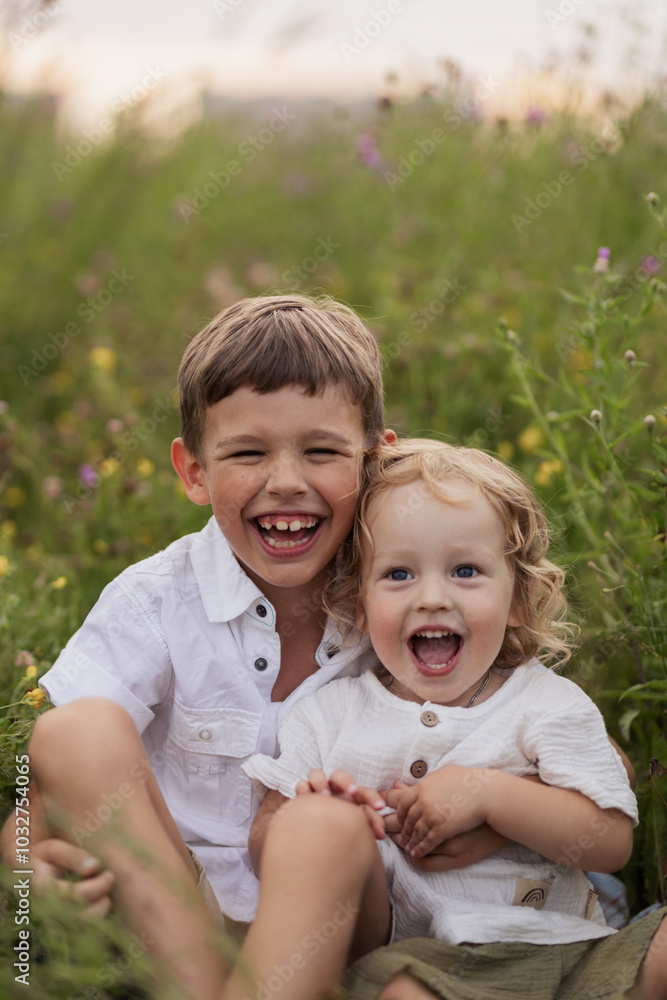 Fototapeta premium Two brothers of a boy are sitting in a field hugging