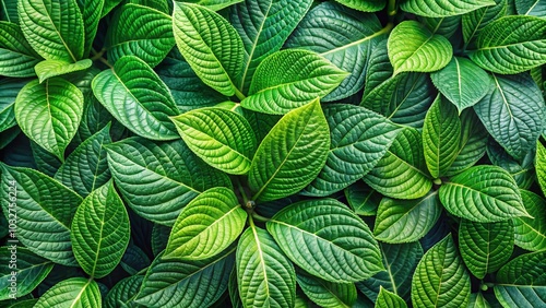 A close-up background of green leaves, featuring an overlay of fresh leaf patterns, creating a natural foliage texture.