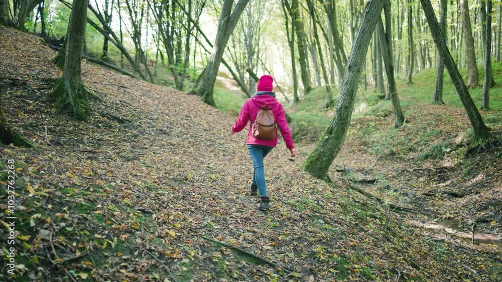 Attractive young woman in a pink jacket, jeans, and a brown backpack climbing a hill in autumn forest, back view, slow motion Attractive young woman in a pink jacket, jeans, and a brown backpack climbing a hill in autumn forest, back view, slow motion