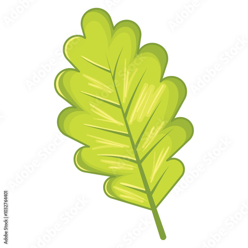 Bright green oak leaf with detailed texture, Vector