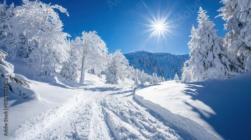  The sun brightly shines over a snow-covered path in a mountainous region with snow-covered trees and mountains in the foreground