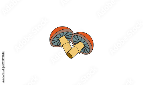 Vector illustration of cartoon mushrooms on isolated background