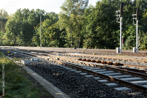 Zwei Bahngleise laufen laufen parallel und führen durch eine Schneise im Wald. photo