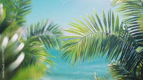  A clear photo of a palm tree on a clear beach with a blue ocean in the background