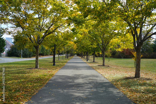 Fall at Liberty State Park in Jersey City.