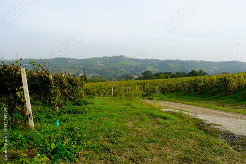 Panorama sulle Langhe a Castiglione Tinella in provincia di Cuneo, Piemonte, Italia. photo