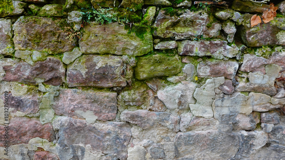 Ancient Stone Wall Covered in Moss Near Historical Ruins in Autumn Light Ancient Stone Wall Covered in Moss Near Historical Ruins in Autumn Light