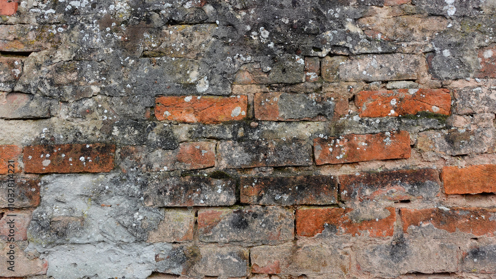 Textured Brick Wall With Weathered Surfaces and Mossy Patches in Urban Setting Textured Brick Wall With Weathered Surfaces and Mossy Patches in Urban Setting