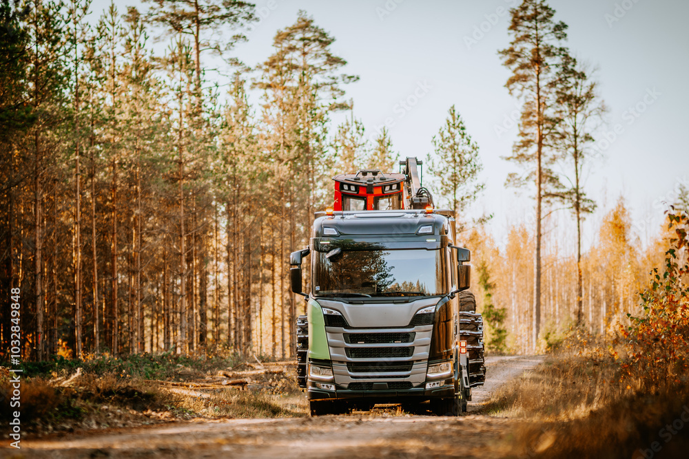 A harvester machine secured on a trailer, being transported along a forest path surrounded by autumn trees. A harvester machine secured on a trailer, being transported along a forest path surrounded by autumn trees.